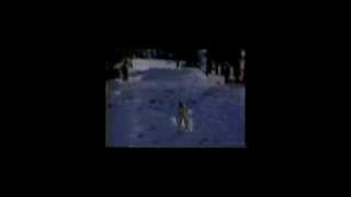 Ski Lift Crashes from 1981’s “Ski In The Sun”  Warren Miller Entertainment [upl. by Damita]