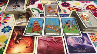 🦋 TIMELESS Virgo love reading I new you were cheating 91118 TAROT TAROT [upl. by Zilla]