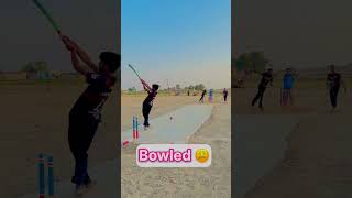 Bold wicket 🏏🫣 cricket cricketfan CricketLover332 [upl. by Ahsinahs]