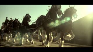 Budweiser Super Bowl 2012 Ad Return of the King Clydesdales Teaser [upl. by Naro825]