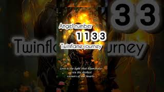 Angel number 1133 meaning in Twinflame connection angelnumbers twinflame hindi 1133 shorts [upl. by Nolyak]