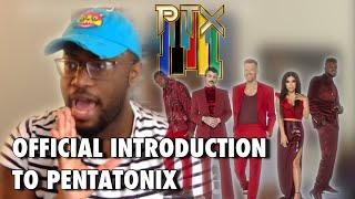 First Time Reaction  Pentatonix  The Sound Of Silence  Reaction [upl. by Pen]