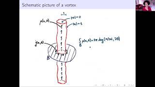 Seminar In the Analysis and Methods of PDE SIAM PDE Sylvia Serfaty [upl. by Arihs]