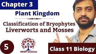 Chapter 3  Plant Kingdom  Bryophytes  Liverworts  Mosses  Class 11 CBSE RBSE NCERT Part5 [upl. by Ecneralc]