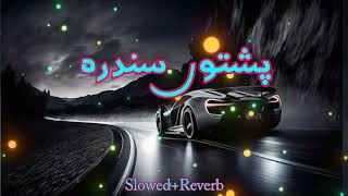 1MTiktok new trending pashtoSLOWED REVERB [upl. by Tymes]