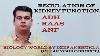 Regulation of Kidney Function [upl. by Orsino899]