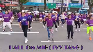 Hall Om Mig line dance [upl. by Shalna599]