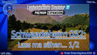 🚜 LS22 Schwaadeheim 032 Lass ma sähen 12 [upl. by Winou516]