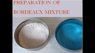 Bordeaux mixture procedure in EnglishUrduHindi by Sana Azmat [upl. by Rosemarie438]