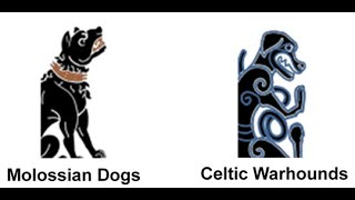 Total War Rome II 1vs1 Molossian Dogs vs Celtic Warhounds [upl. by Ydasahc]