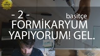 Ytong Formikaryum yapalım  Part 2  Formicarium [upl. by Rollecnahc179]