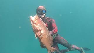 Spearfishing Geraldton amp The Abrolhos Islands  Part 3 [upl. by Esidarap]