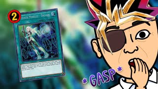 Sky Striker Deck Profile 1st Place Locals 2024 [upl. by Htebiram558]