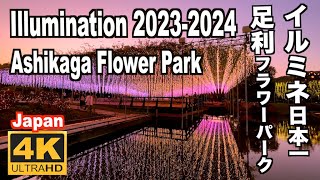 Ashikaga Flower Park あしかがフラワーパーク イルミネーション日本一のイルミネ 2023 足利観光 日本三大イルミネ Illumination Japan 足利花卉公園 [upl. by Thibaut425]