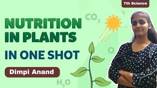 NUTRITION IN PLANTS  CLASS 7  ONE SHOT [upl. by Katuscha]