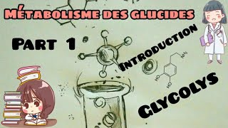 Métabolisme des glucides  introduction les étapes de glycolyse part 1 [upl. by Ahsener]