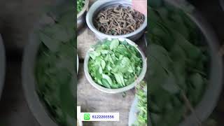 Rabbit oil making full video watching wmc channal [upl. by Brinkema407]