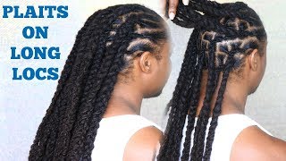 How To Treat Scalp Psoriasis and Dermatitis  Locs Edition  Plaits on Long Locs [upl. by Kerwin]