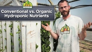 Hydroponics Safety Conventional vs Organic Hydroponics [upl. by Beniamino]