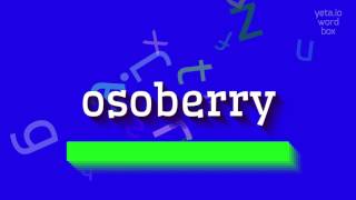 OSOBERRY  HOW TO SAY OSOBERRY osoberry [upl. by Kantor77]