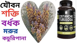 মরুভূমির কচুরিপানার পরিচয় ও উপকারিতা How To Grow Cistanche Tubulosa cistanche [upl. by Hecklau]