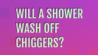 Will a shower wash off chiggers [upl. by Huey]