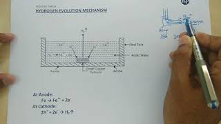 Immersed corrosion I Hydrogen Evolution Mechanism ENGLISHHINDI [upl. by Benton]