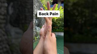 Chinese Medicine Back Pain Acupoints [upl. by Lavona]