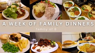 WEEK 69 FAMILY DINNERS OF THE WEEK  family of eight evening meal ideas meal plan🍝🥙 [upl. by Yorke735]