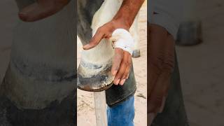 🐎👟Horse shoe restoration shots asmr satisfying [upl. by Alimhaj]