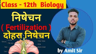 निषेचन  Fertilization  दोहरा निषेचन  Double Fertilization  Syngamy  Triple Fussion  Amit Sir [upl. by Thayne]