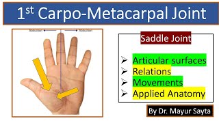 First carpometacarpal joint [upl. by Oicangi569]