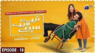 Tere Mere Sapnay Episode 18  Eng Sub  Shahzad Sheikh  Sabeena Farooq  27th March 2024 [upl. by Cotsen]