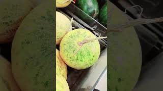 CANTALOUPE FRUIT SWEET AND CRISPY shorts shortvideo satisfying trending fruit ytshorts [upl. by Jeralee311]