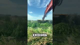 ¡Excavadora Hidráulica Limpiando Terrenos Difíciles 🌿💪 shorts [upl. by Obala]