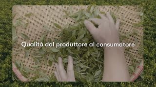 Herbalife La Qualità dei prodotti Dal produttore al consumatore [upl. by Erdnuaed]