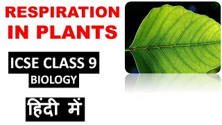 RESPIRATION in PLANTS  ICSE Class 9 Biology [upl. by Einama]