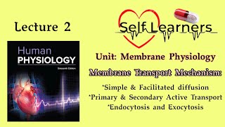 Lecture2Membrane Transport MechanismDiffusionActive Transportvesicular transportMembrane Physio [upl. by Ailices518]