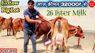 26 लीटर तक दूध 31000₹ से कीमत शुरू 👍 15 Cow Available For sale 👌 Gir Sahiwal Cholistani Rathi Breed [upl. by Leduar]