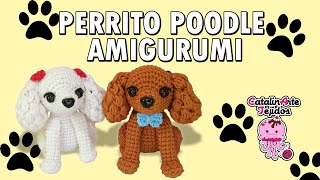 Perrito poodle amigurumi  CatalinArte Tejidos [upl. by Negaem250]