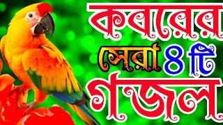 খুবই দুঃখের কবরের আযাবের কথা স্মরণ করা ৪টি গজল। new Islamic song Bangla song best gojol। [upl. by Ecnarual682]