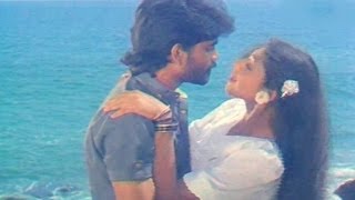 Vikram Movie Songs  Neevele Na Pranam  AkkineniNagarjuna Shobana Annapoorna [upl. by Anaynek]