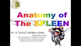 Anatomy Lecture of the SPLEEN  Dr Yusuf [upl. by Krasner]