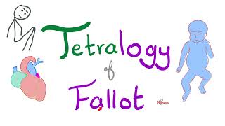 Tetralogy of Fallot TOF  Cyanotic Congenital Heart Disease CHD  Cardiology 🫀 [upl. by Jacinda]