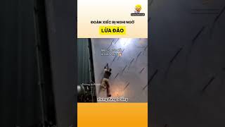 Đoàn xiếc bị nghi ngờ lừa đảo [upl. by Sicard63]