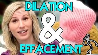 Dilation and Effacement Explained [upl. by Laws]