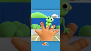 Chameleon Finger Family  Learn Colors shorts nurseryrhymes kidssongs [upl. by Changaris848]