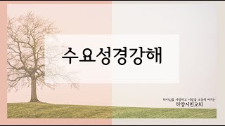 하양시민교회 수요성경강해 사도행전 16장 1634절신215  빌립보에 임한 하나님 나라 20240904 고태환 목사 [upl. by Sasnak677]