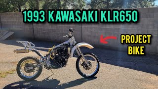 Kawasaki KLR650 Project Bike  Ep 1 Clean Up and Inspection [upl. by Ruder]