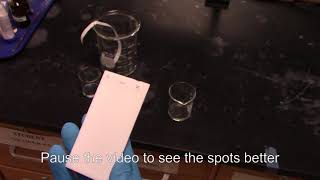 Saponification of Methyl Benzoate Thin Layer Chromatography TLC of products [upl. by Greenwell]